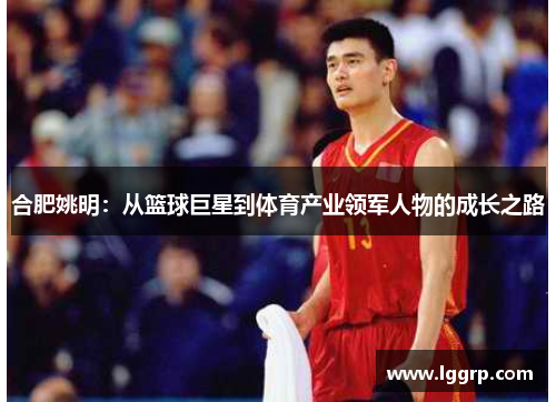合肥姚明：从篮球巨星到体育产业领军人物的成长之路